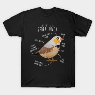 Zebra Finch Anatomy T-Shirt